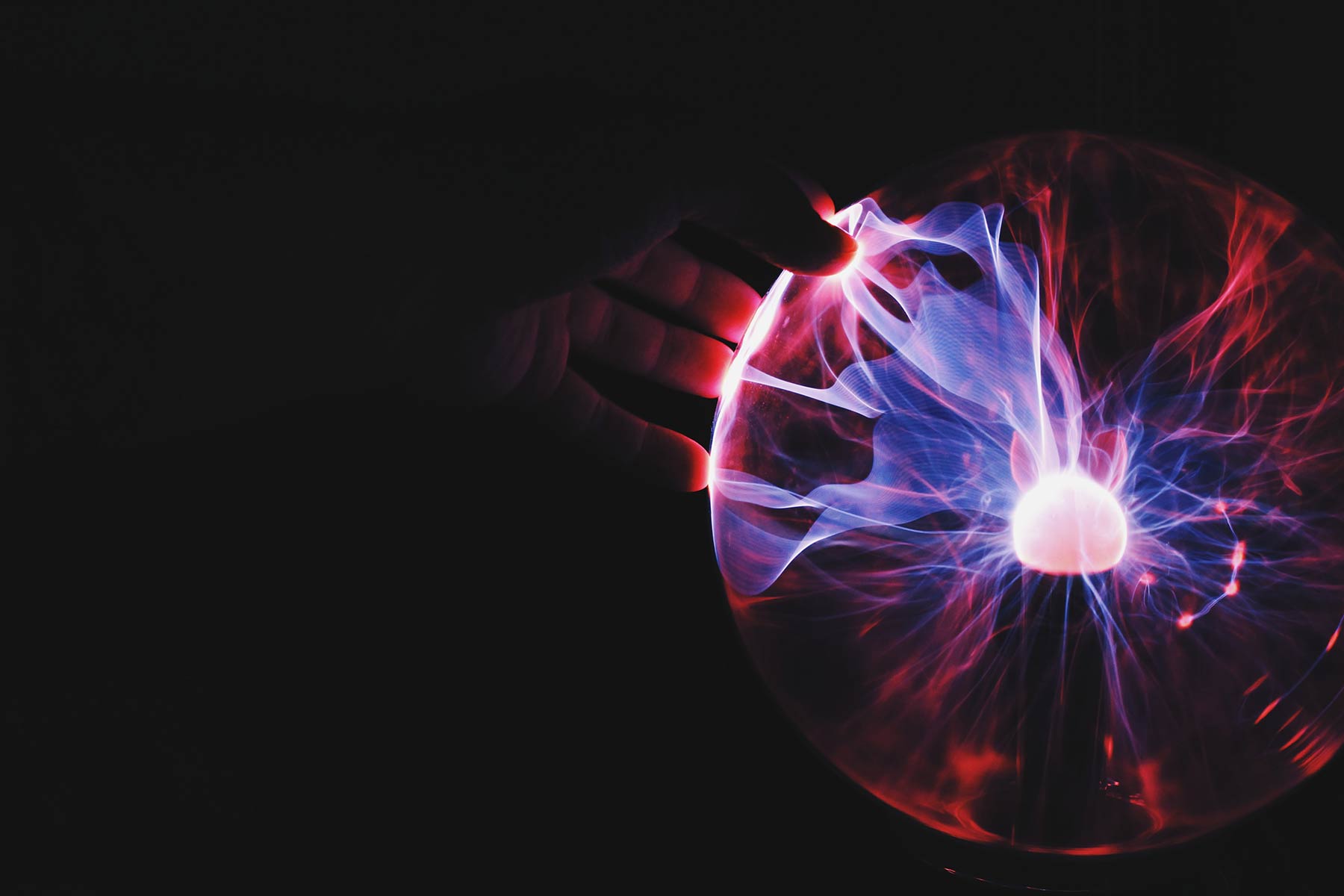 What are the 13 best WordPress themes of 2023?